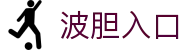 足球波胆（Correct Score）即时比分网：盘口变动与赛果验证